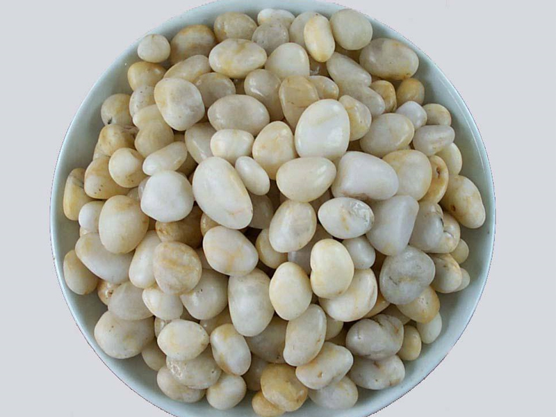 白色抛光好色先生软件