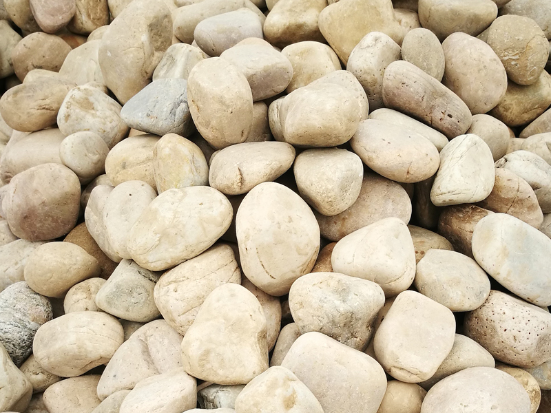 变压器专用好色先生软件