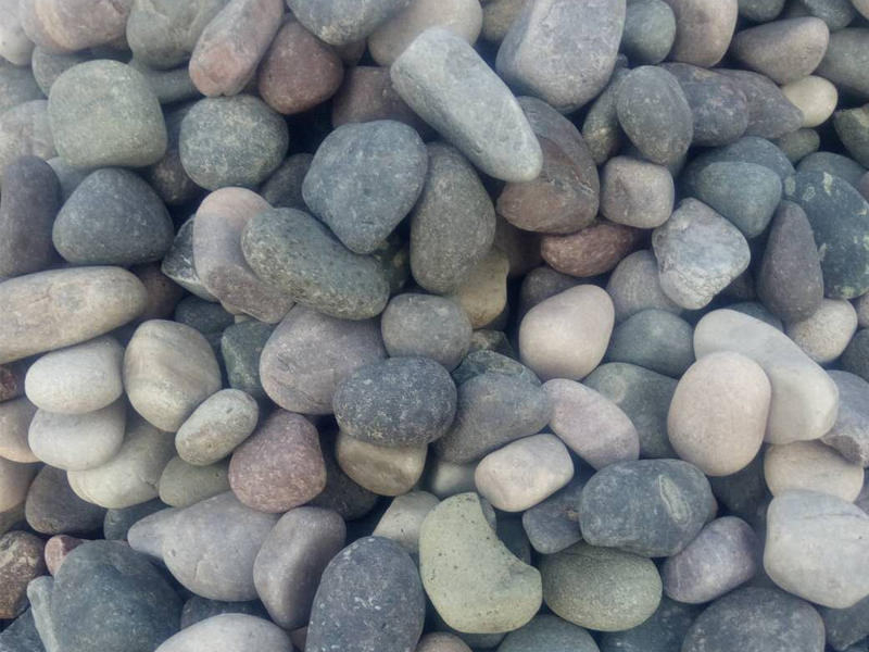 好色先生软件承托层